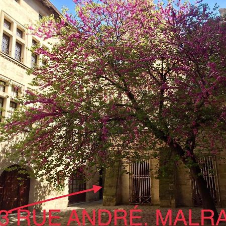 Appartement A 50 M De La Place Aux Herbes 于泽斯 外观 照片