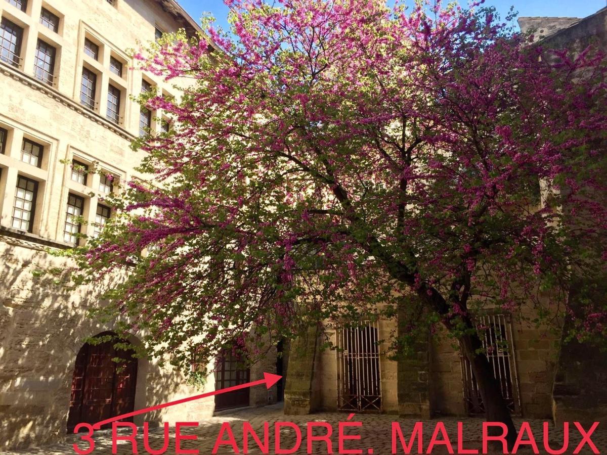 Appartement A 50 M De La Place Aux Herbes 于泽斯 外观 照片