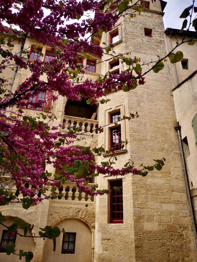 Appartement A 50 M De La Place Aux Herbes 于泽斯 外观 照片
